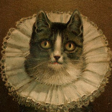 Profile photo of Alberto Rochin Garcia