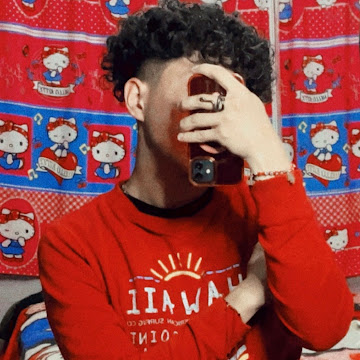 Foto de perfil de vincentpalma