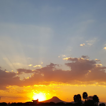 Profile photo of Estefanía Araceli cruz Olguín