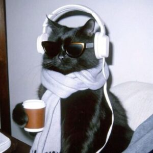 Profile photo of Iliams García Sánchez