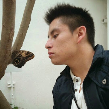oswaldoflores