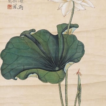 Profile photo of Camila Alejandra Escudero Acevedo