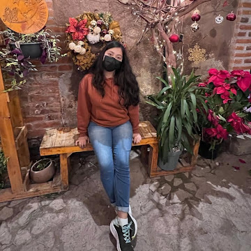 velazquezerika