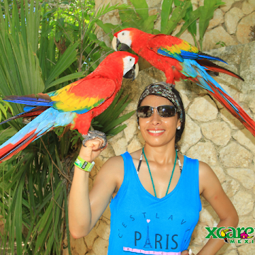 Profile photo of Yessica Magdalena Olvera Ávila