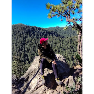 Profile photo of Guadalupe Paredes Flores