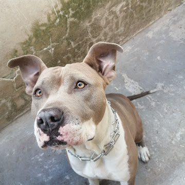 Profile photo of Armand “Rem” Pre