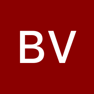 BRANDON VARGAS SORIANO