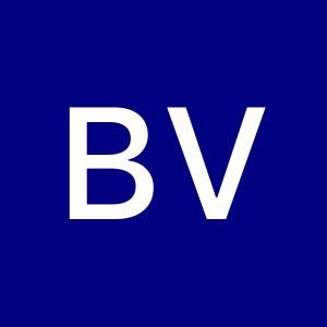 Bibian Vargas Briseño