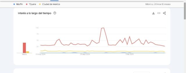 WhatsApp Image 2025-05-25 at 10.23.00 AM (1)