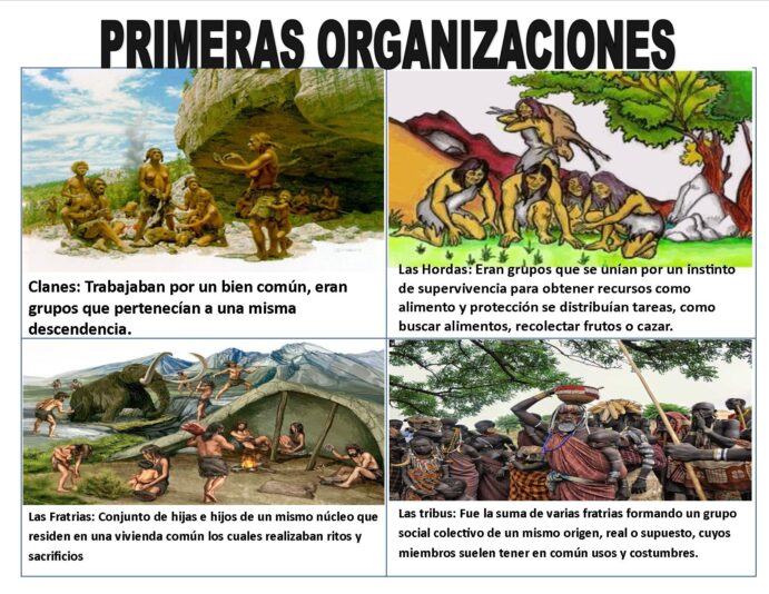 primeras organizaciones