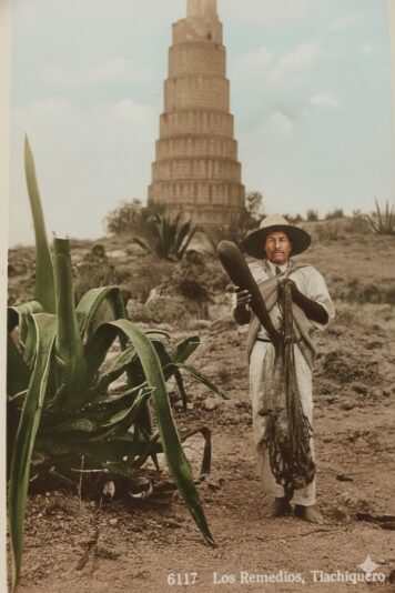 Aclarar rostro Gemini