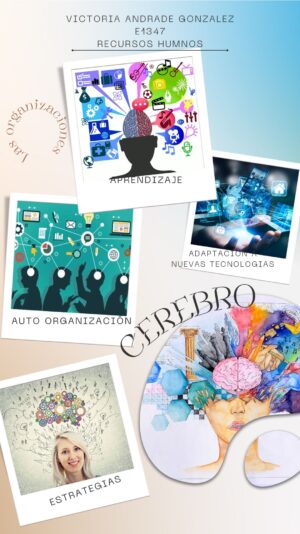 ORGANIZACIONES - CEREBRO