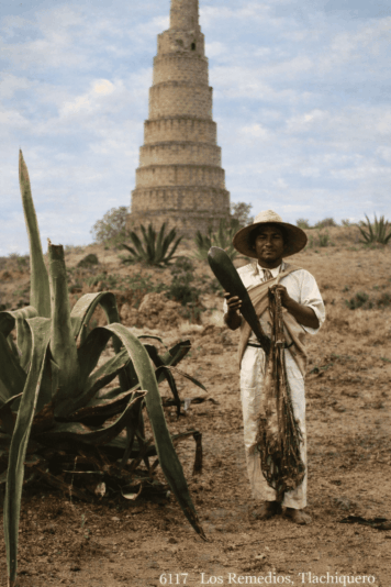 Aclarar rostro GPT comprimida iloveimg